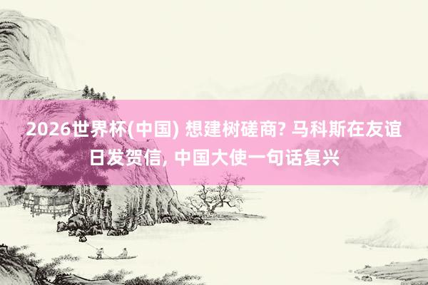 2026世界杯(中国) 想建树磋商? 马科斯在友谊日发贺信, 中国大使一句话复兴