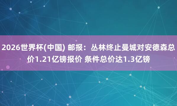 2026世界杯(中国) 邮报：丛林终止曼城对安德森总价1.21亿镑报价 条件总价达1.3亿镑
